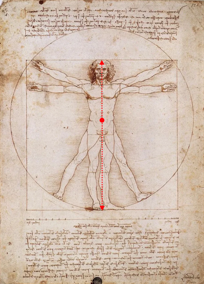 Leonardo Da Vinci's Vitruvian Man with phi ratio overlaid on then body.